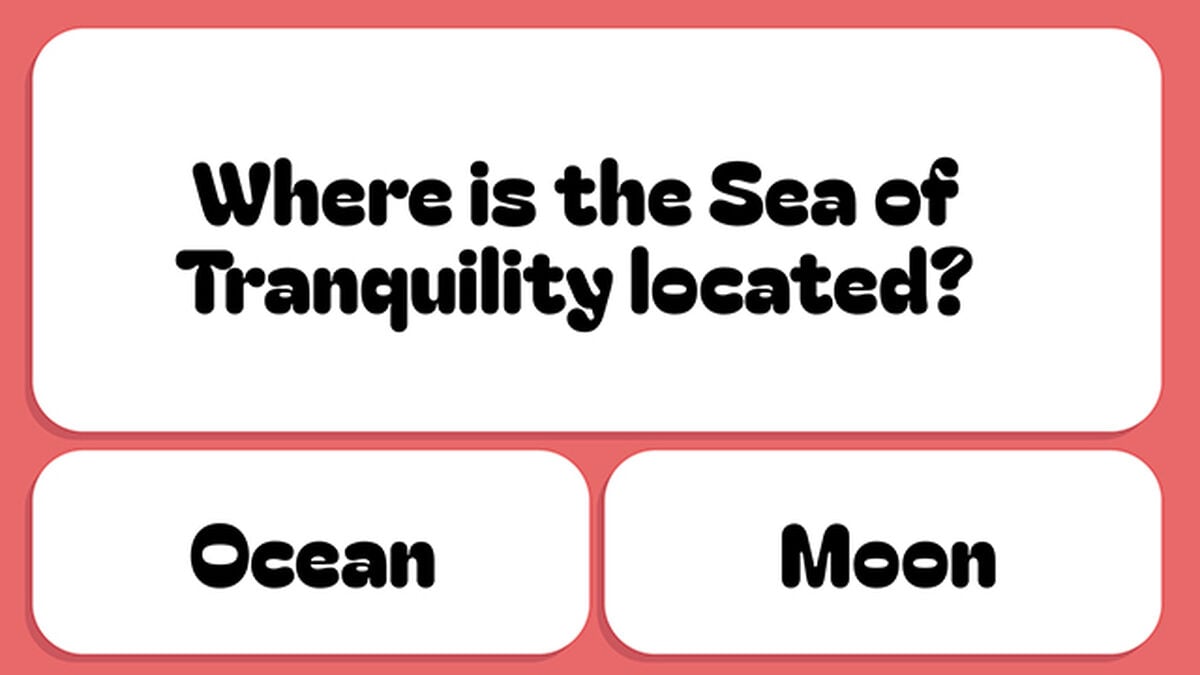 Dumb Questions for Smart People - Round 4 image number null